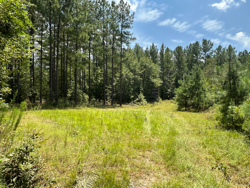 100 acre investment tract near Thomson McDuffie County,