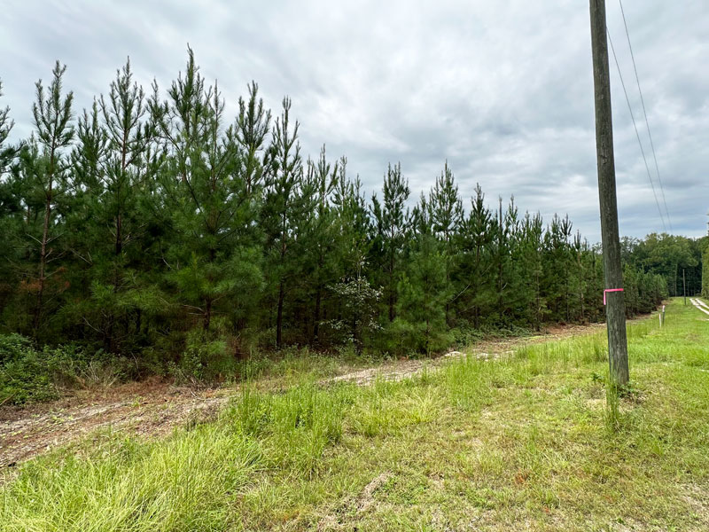 12 acres wooded with a creek McDuffie County, Shivers Real