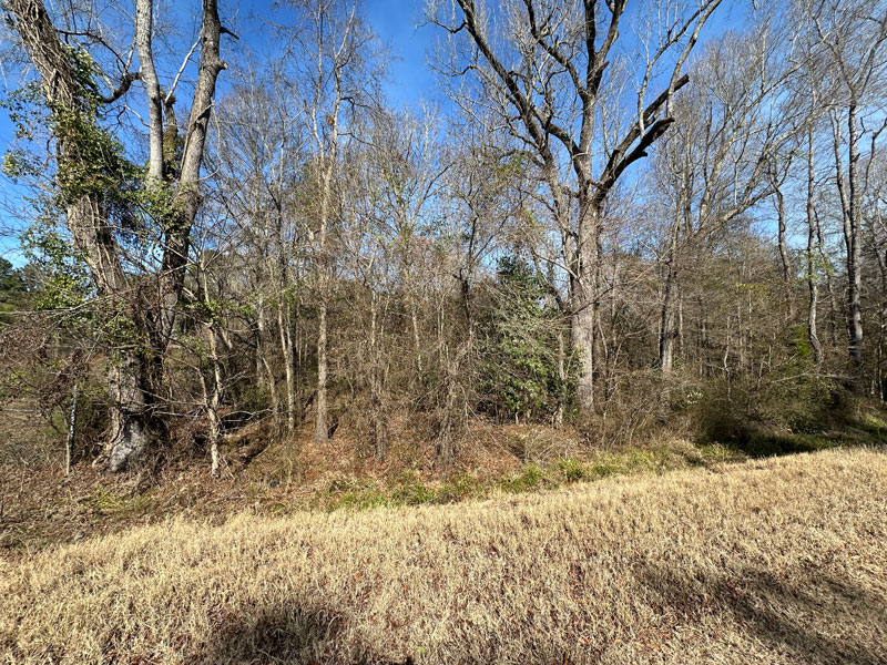 1.5+ acre lot Vidette, Burke County, Shivers Real Estate