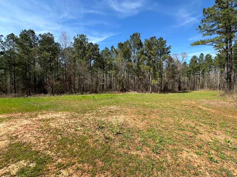 226 acre investment, development, recreational property on the River Newton County,