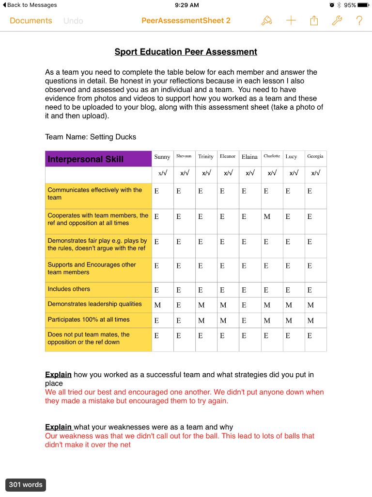 Peer assessment sheet