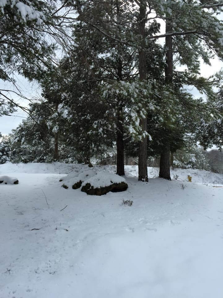 Is it going to snow in North