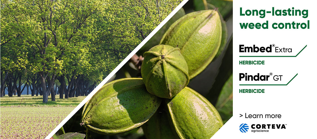 Home Pecan Growers Association Nature's Health Food