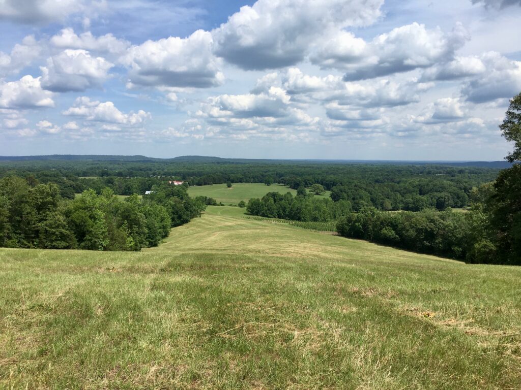 Planned rock quarries threaten to blast away some pastoral