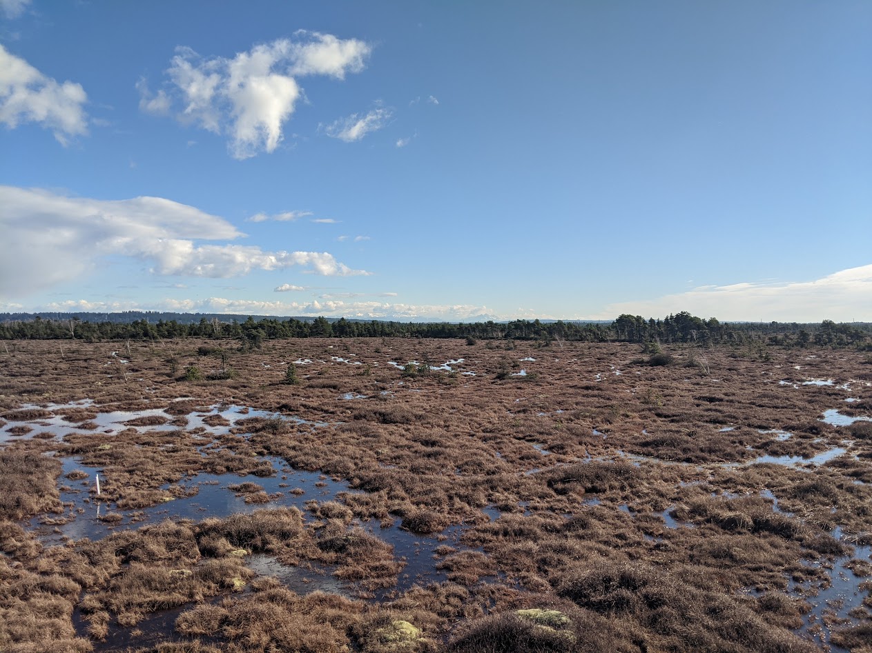 Atmospheric Environments Surface Geometry and Albedo