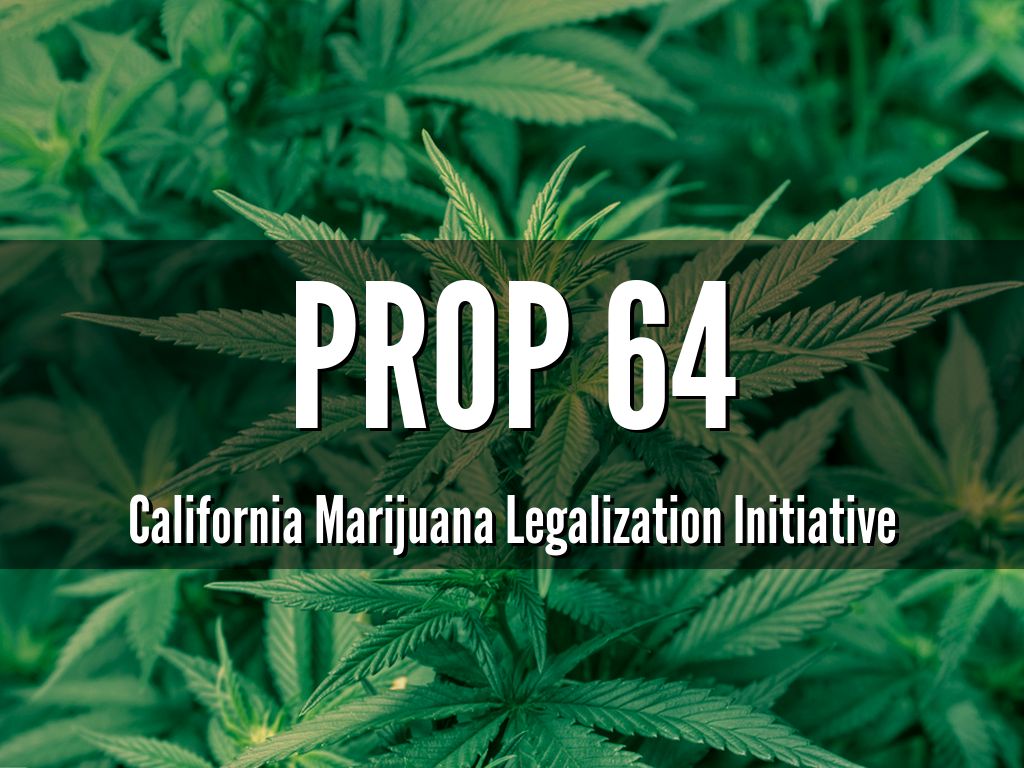 Cannabis growers prepare for a price crash if Prop. 64 passes GeoShepard