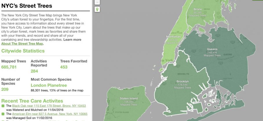 Awesome map shows location, economic benefit of 685,781 trees in NYC
