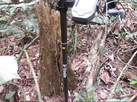3d View Of Amazon Forests Captures Effects Of El Nino Drought Geospatial World