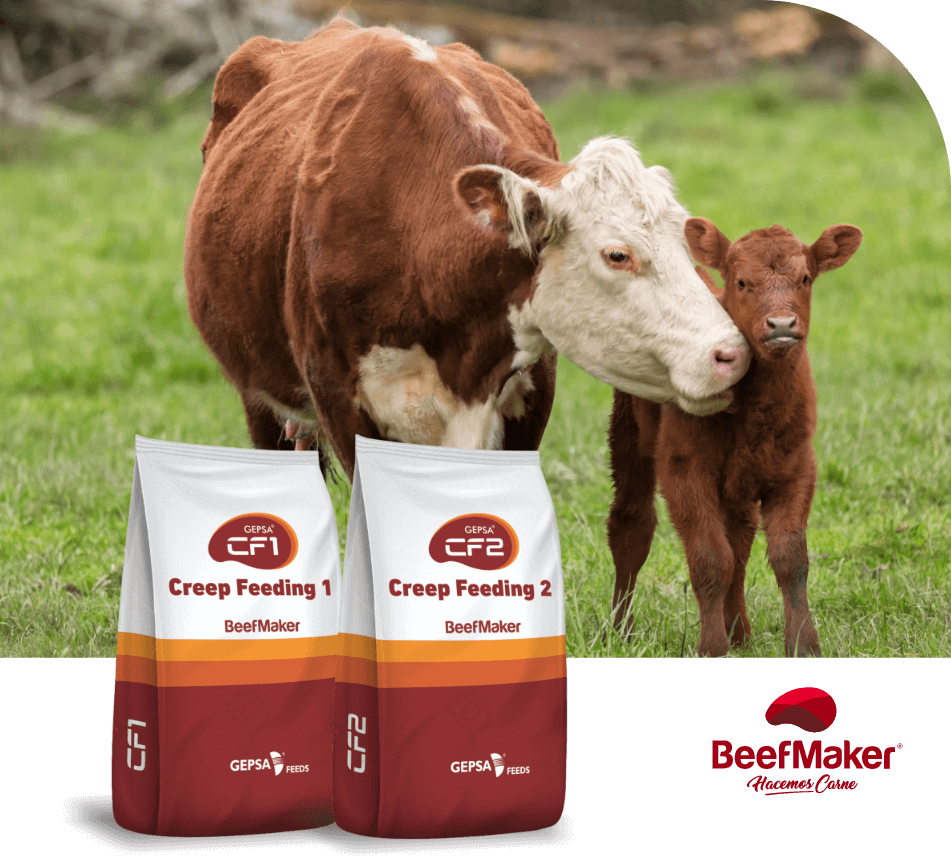 Creep Feeding GEPSA FEEDS