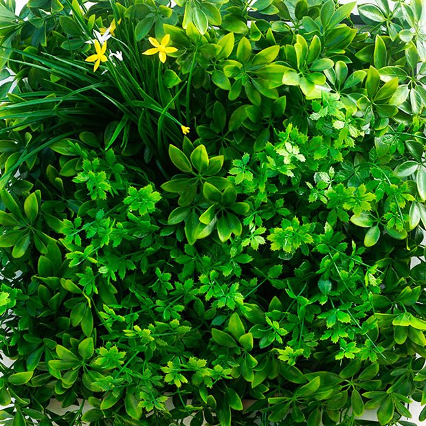 Greenery Solutions for Privacy and Beauty Geranium Street