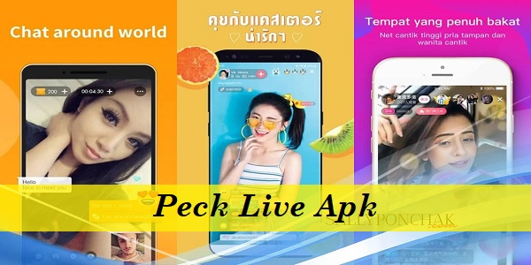 Peck Live Apk ( Live Streaming Bebas) 2021