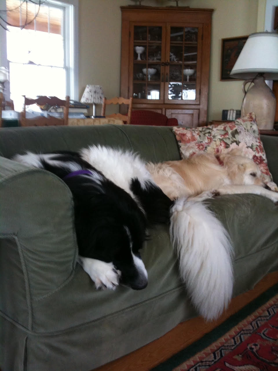 Off the Leash: Subversive Journeys Around Vermont Hardcover
