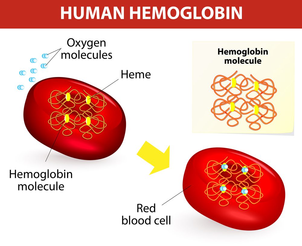 How Low Can Hemoglobin Go Before Death?
