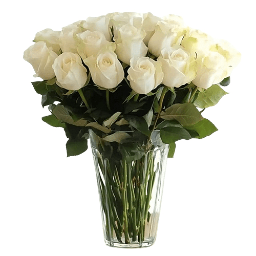 Send Serenity Of White Bloom To Germany