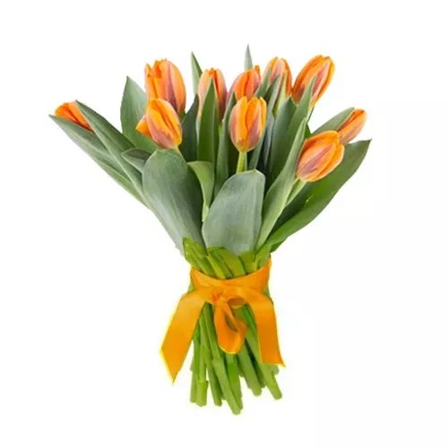 Online Birthday Gift Delivery in Germany 1 Local Florist & Gift Shop