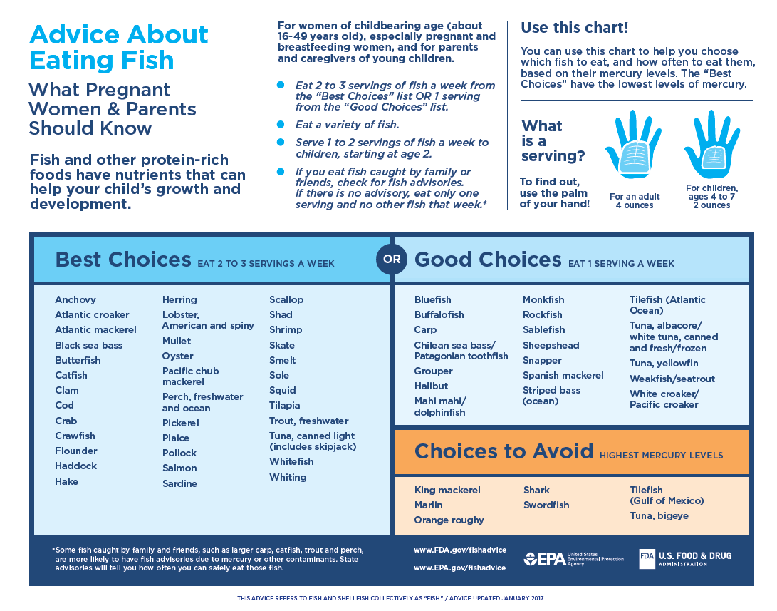 Healthy Benefits from Humble Herrings