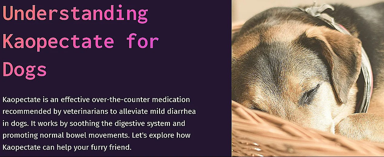Can You Safely Give Your Dog Kaopectate? The Ultimate Guide