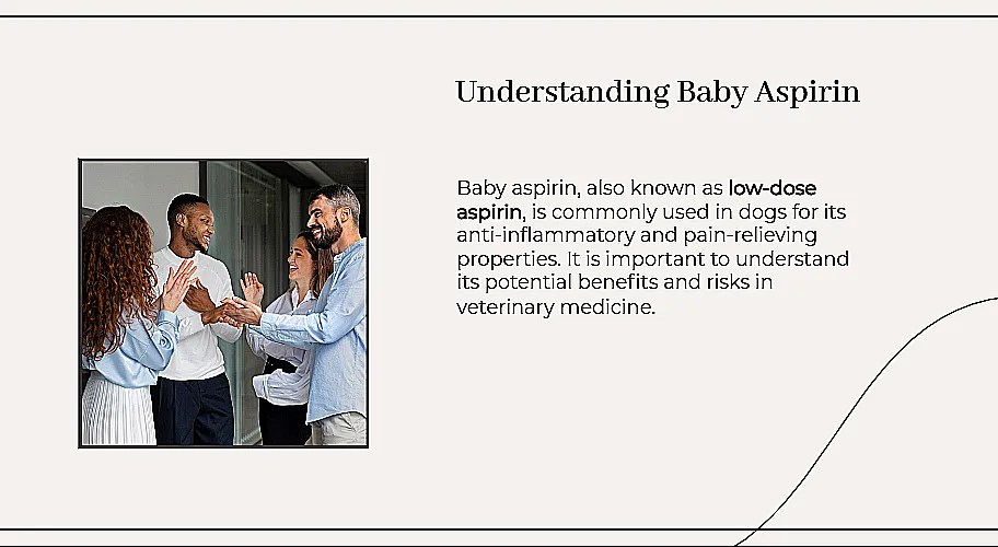 Is Baby Aspirin Safe For Dogs?Expert Insights & Safety Precautions