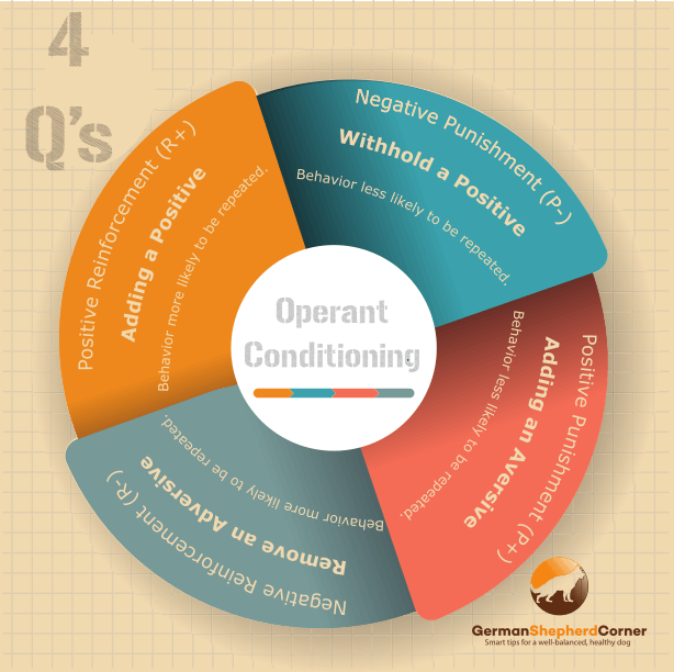 Dog Learning A Guide to How Your GSD Learns