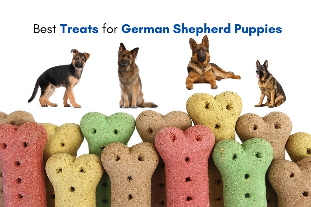 Best Treats for German Shepherd Puppies that are Healthy and Nutritious