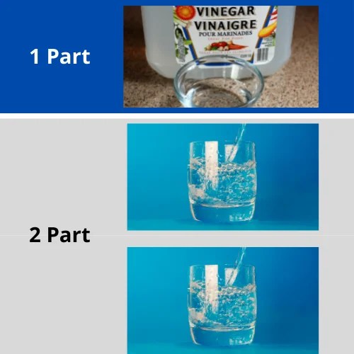 Understanding Dog Smegma A Comprehensive Guide for Pet Owners