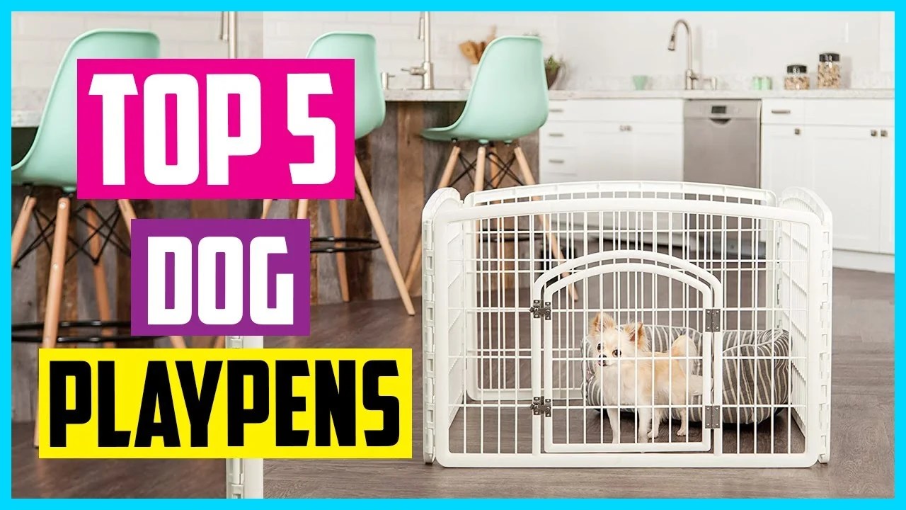 5 Best Dog Play Pens for Indoor Use