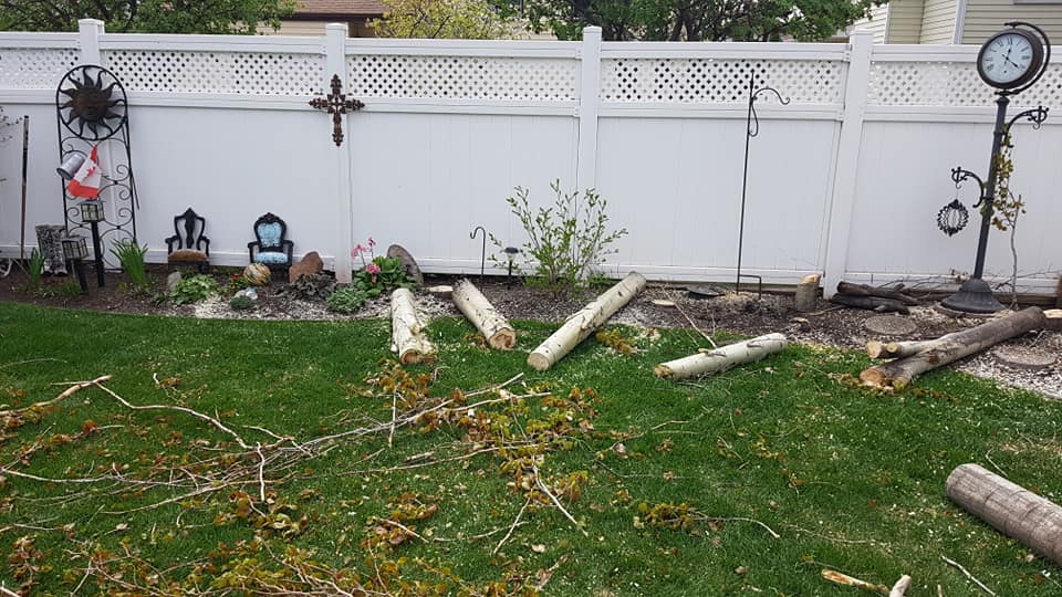 Gerry's Cheapest Tree Removal Edmonton Arborist Tree Services