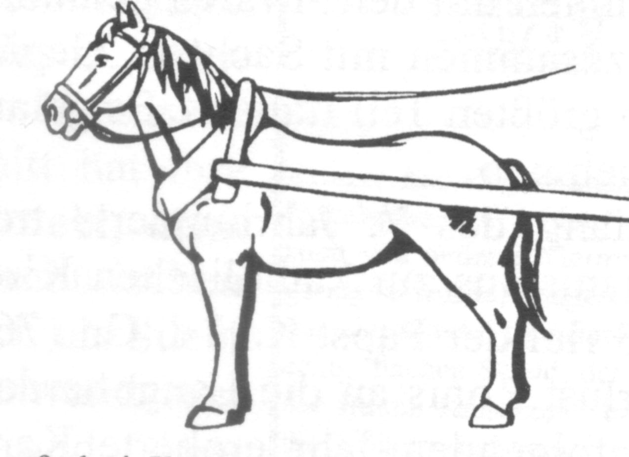 KAMPF UM ROM Historical Glossary bertold01.doc