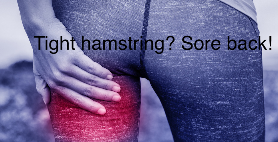 Red area on back of leg indicating pain or muscle injury on sports