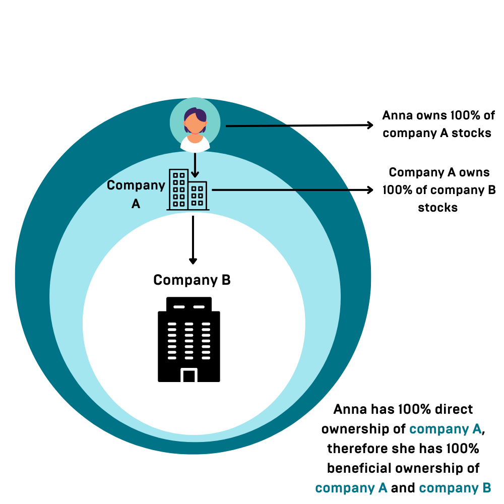Ultimate Beneficial Ownership (UBO) in 2023 NEWTON ━ Legal Entity