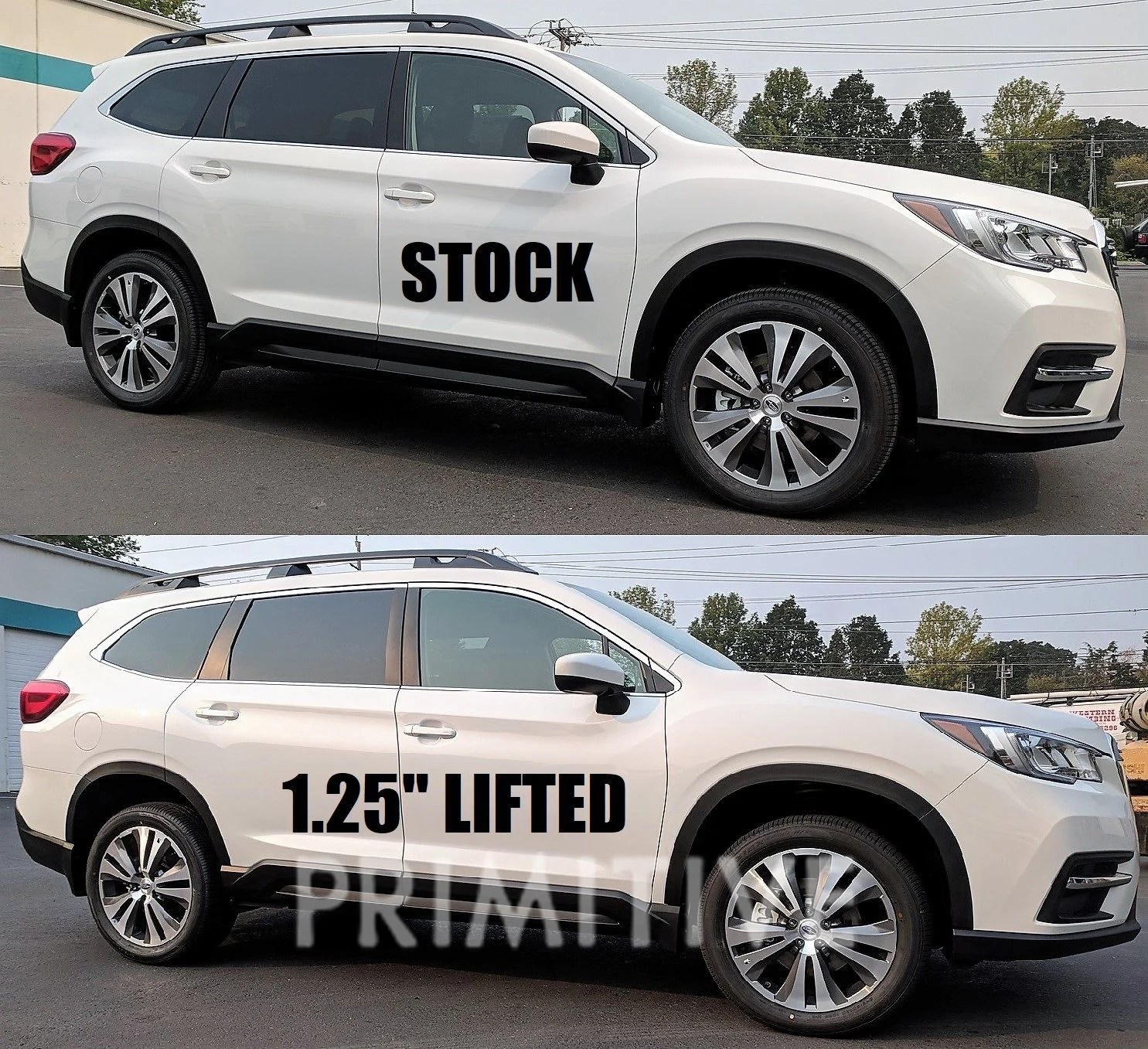 2019+ Subaru Ascent Lift Kit Primitive Racing