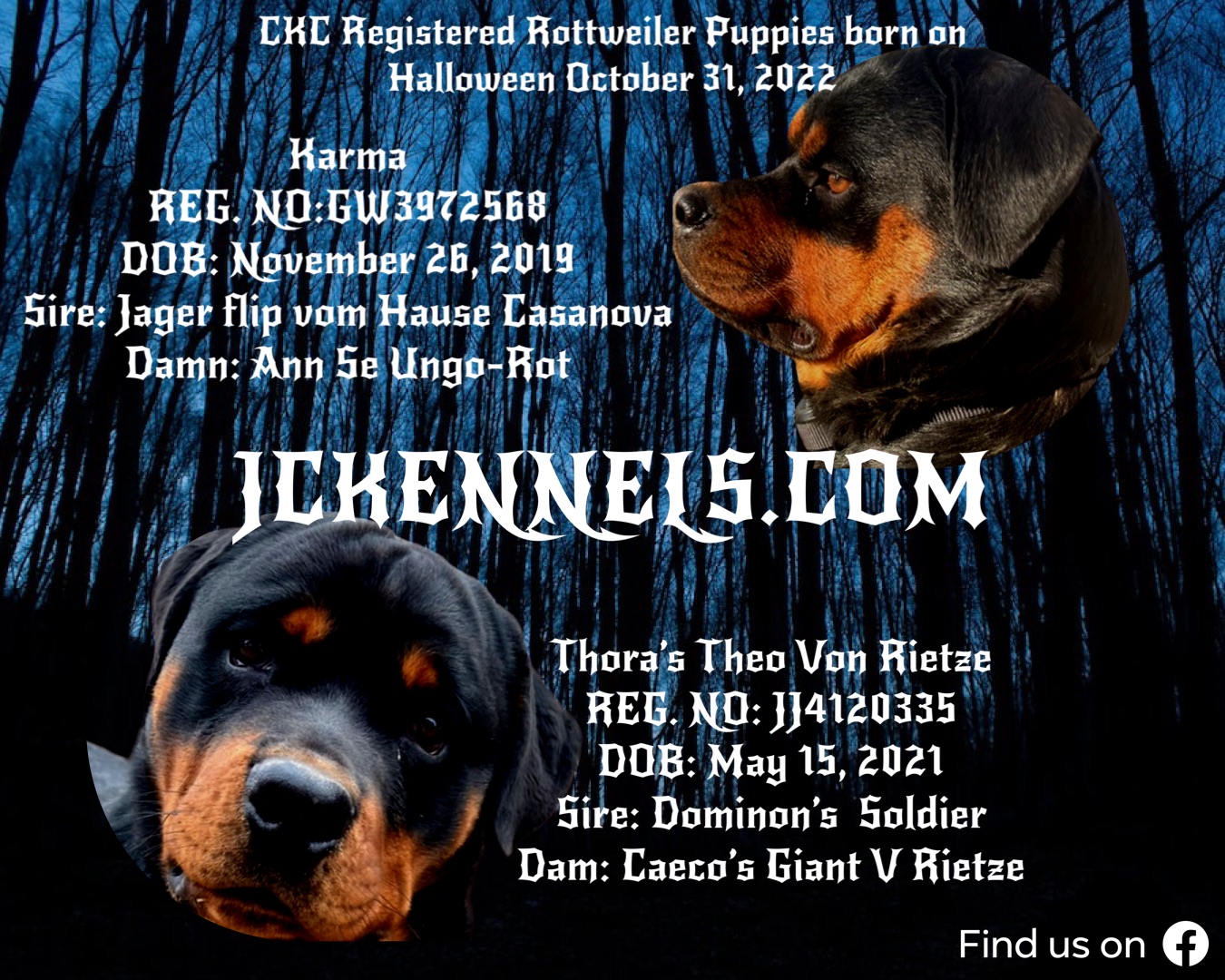 What Does Ckc Registered Mean For Dogs