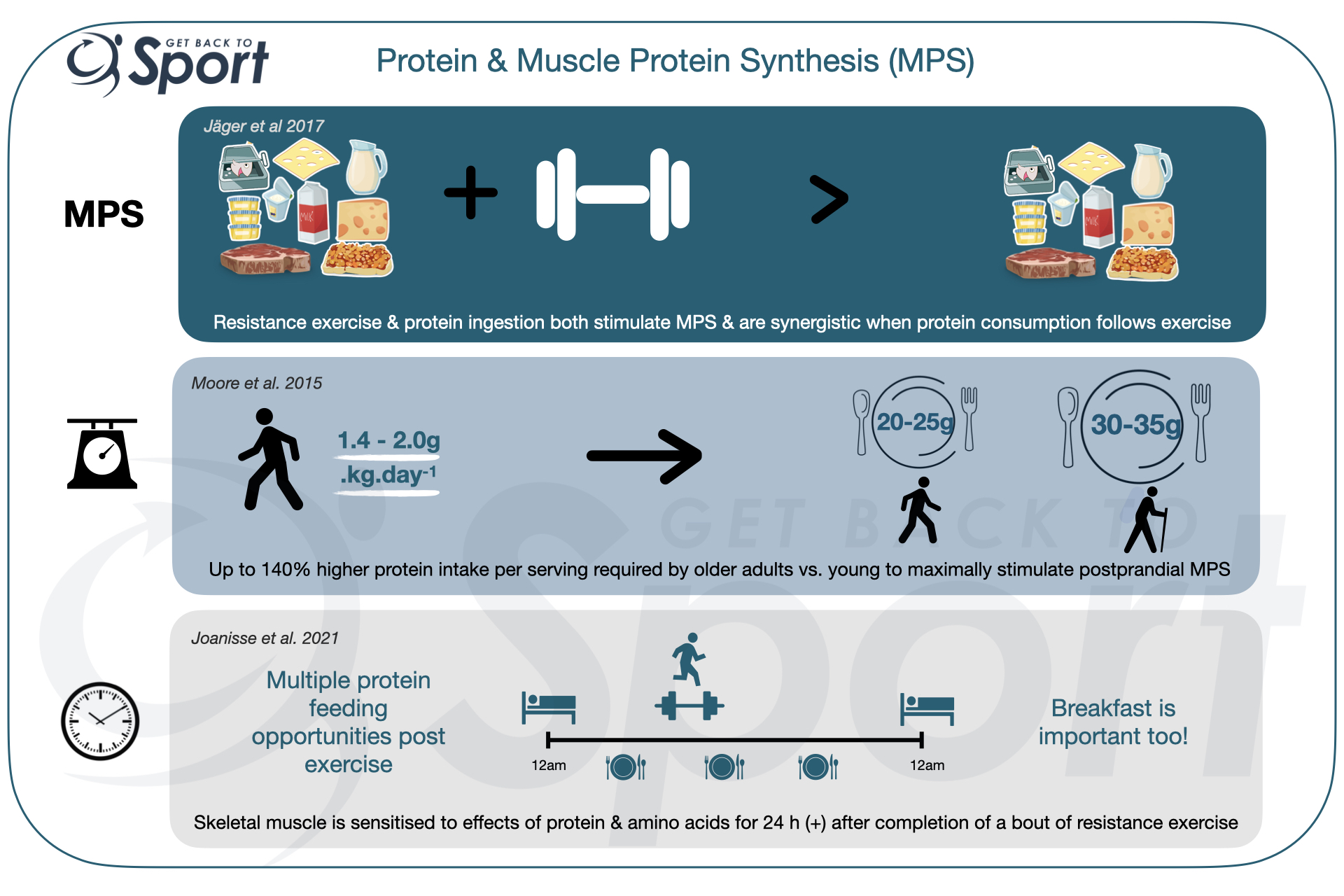 Protein for Muscle Gain; How Much, When & How Often? Get Back To Sport