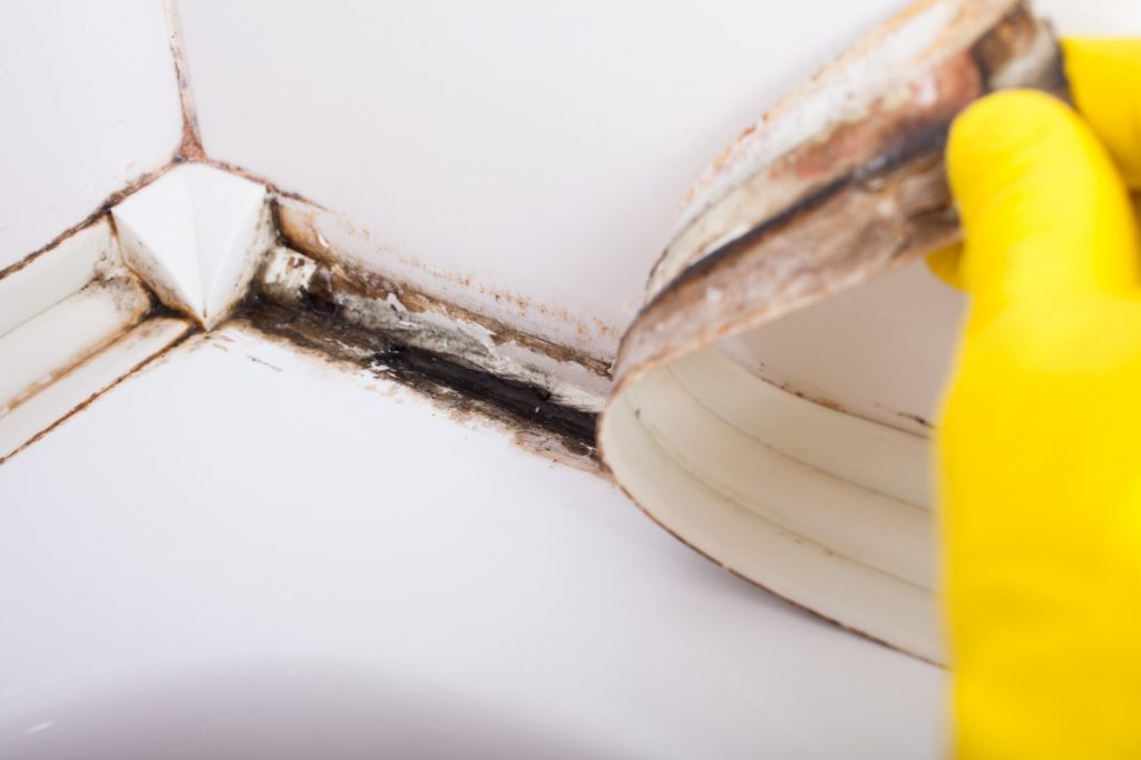 How to Remove Mold From Your Bathroom BioClean Remediation LLC