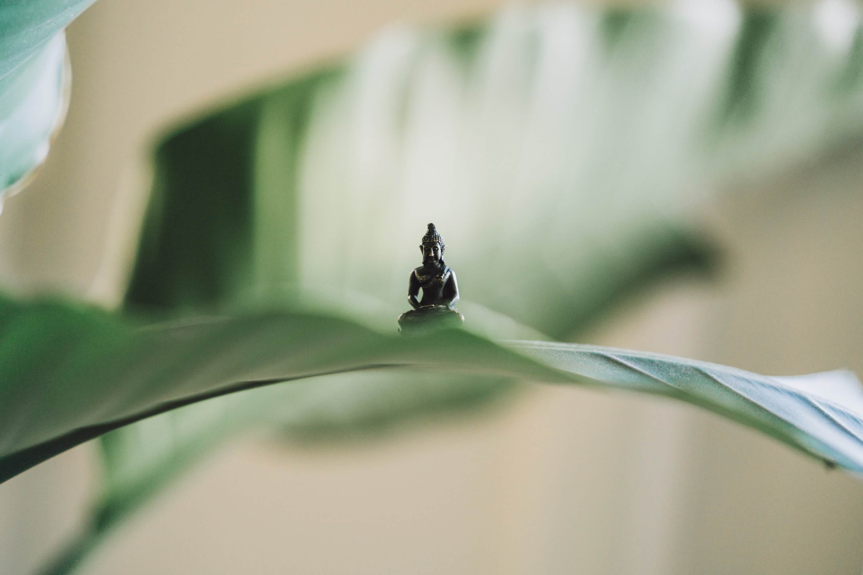 The 7 Steps To Living A Zen Lifestyle Blys
