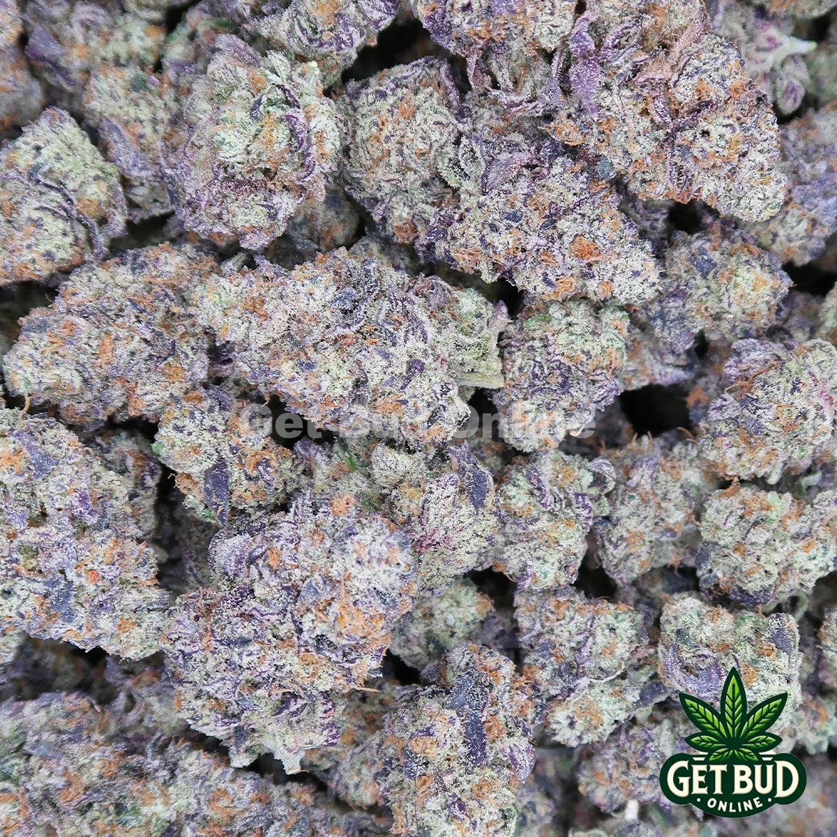 Blue Gotti (Top Shelf Bud) 🔥 Get Bud Online USA
