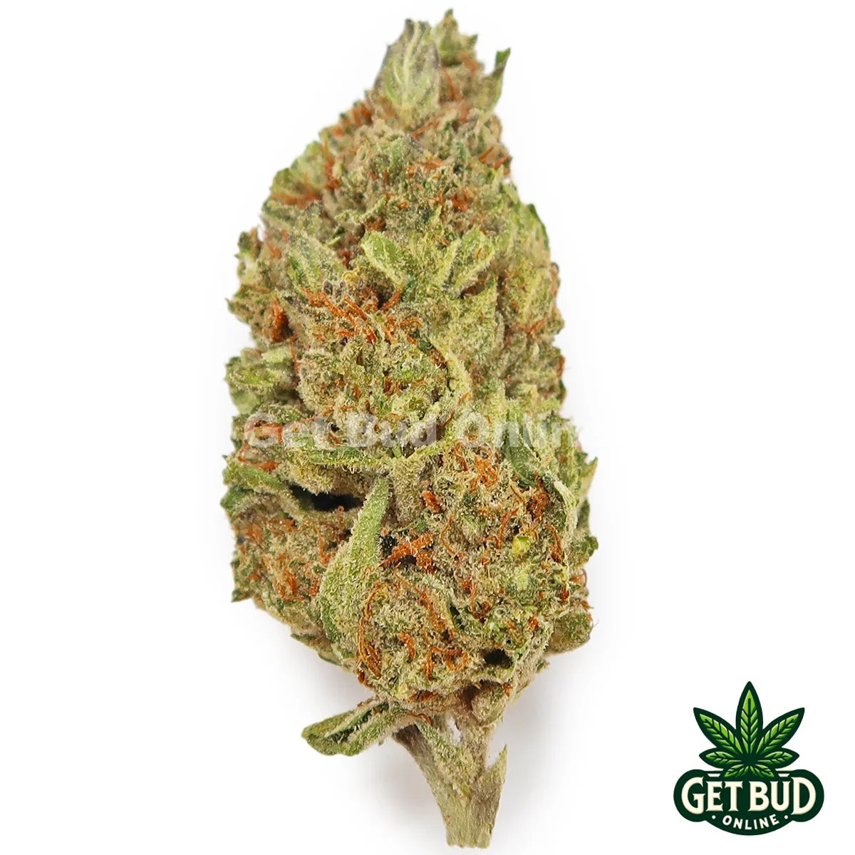 Pie 🥧 (Value Bud) 🔥 Get Bud Online USA