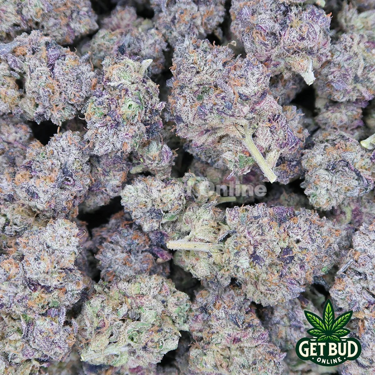 Godzilla (Top Shelf Bud) 🔥 Get Bud Online USA