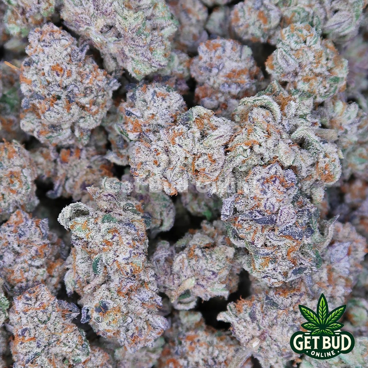 Granimals (Top Shelf Bud) 🔥 Get Bud Online USA