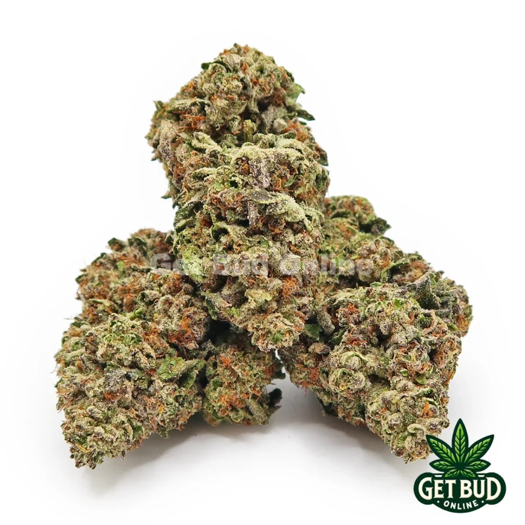 Get Bud Online USA