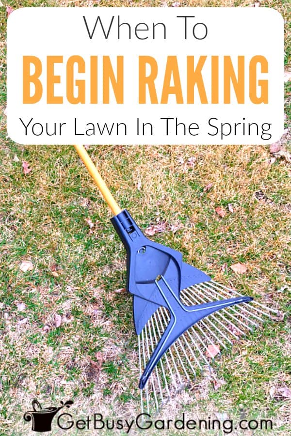 When To Rake Your Lawn In The Spring Get Busy Gardening