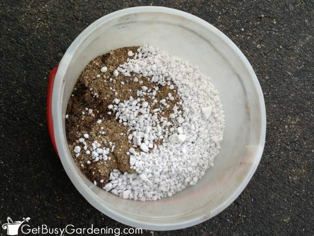 How To Make Your Own Succulent Soil (With Recipe!) Get