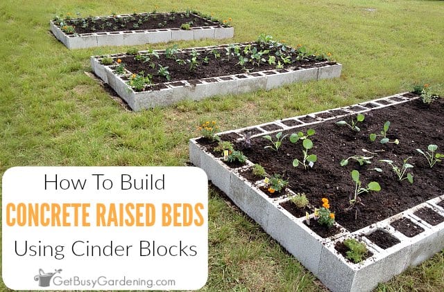 Cinder blocks are a common item that you see, but they often do not have much use other than creating a wall. How To Make A Raised Garden Bed Using Concrete Blocks Get Busy Gardening