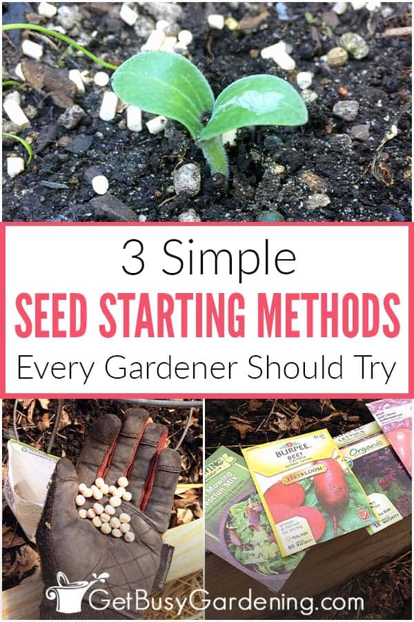 3 Simple Seed Starting Methods Every Gardener Should Try