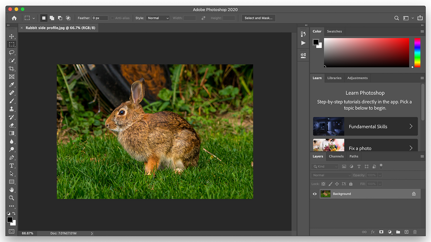 Want to edit with the Adobe Photography Plan? Here’s what you need to