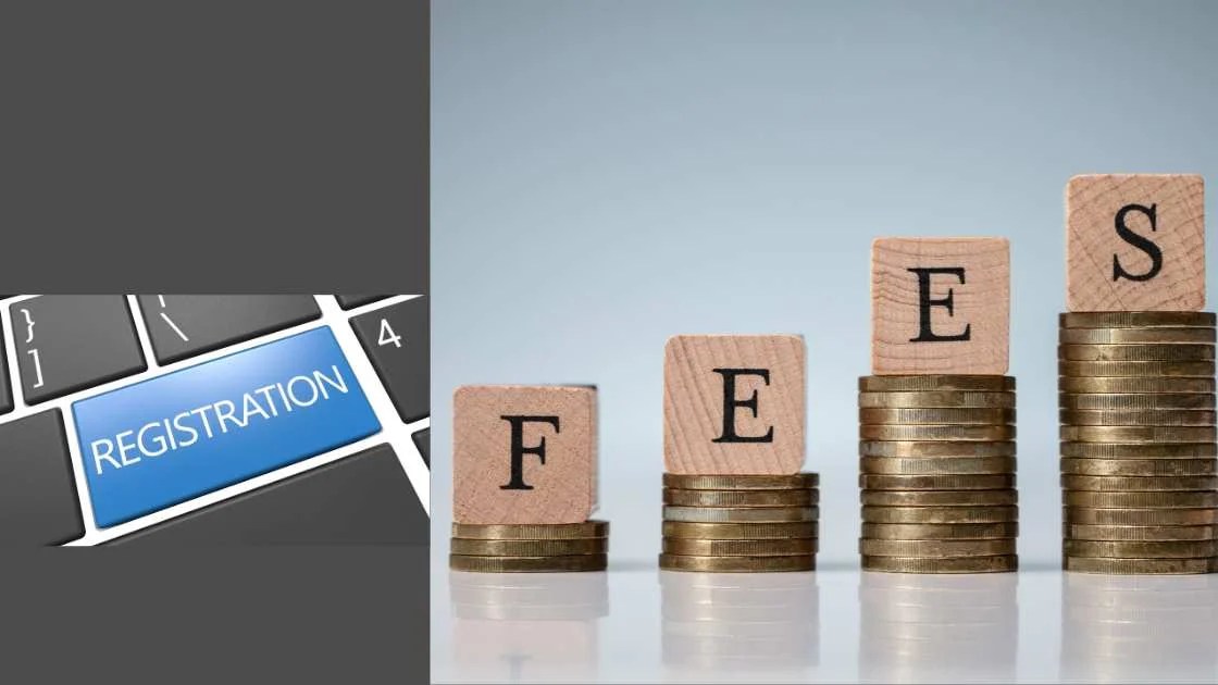 How Much Does It Cost To Get Your Own Authority? Proper Tips By Expert