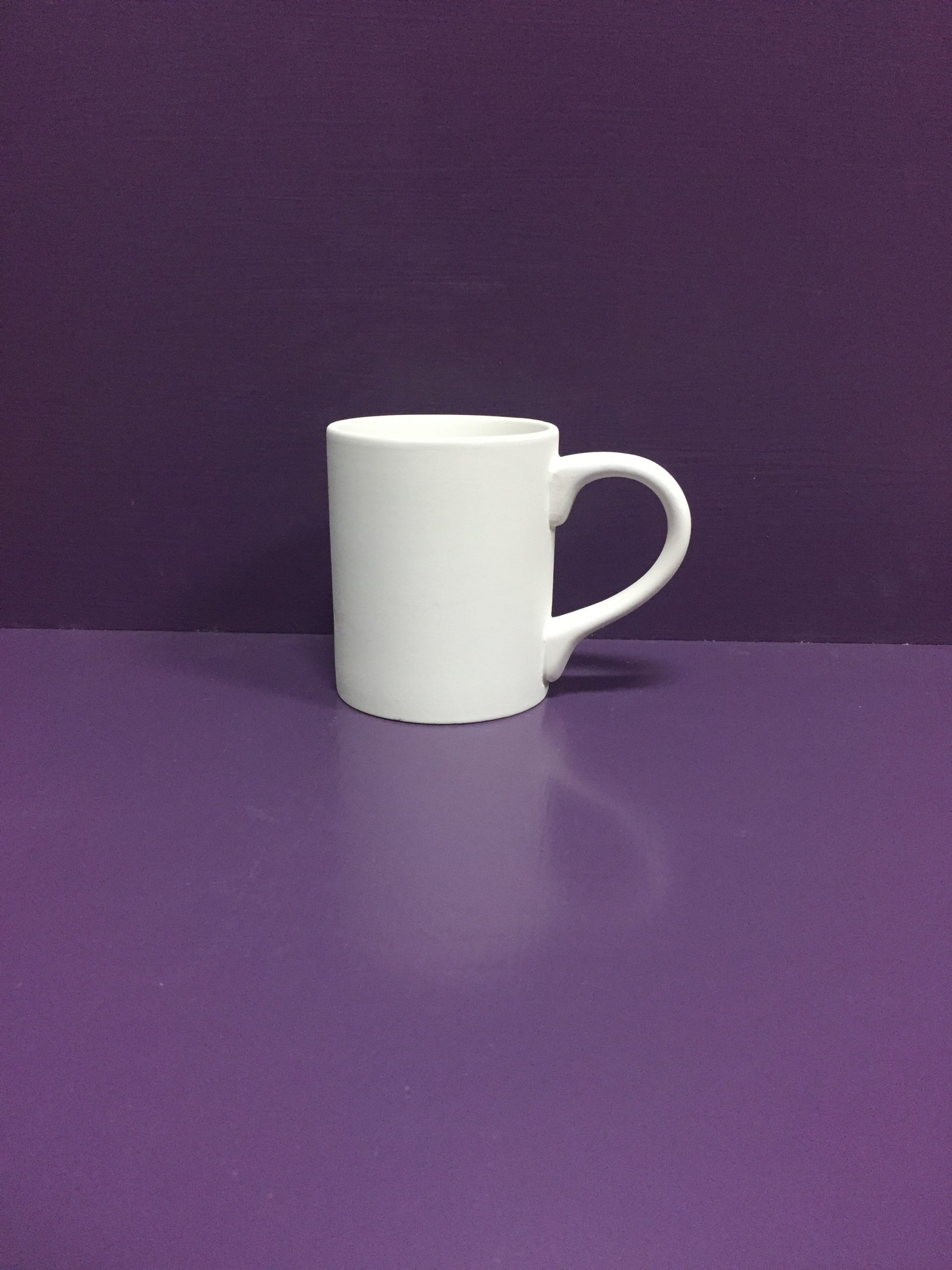 Bisque 10oz Mug Pottery ToGo Fused Glass Pottery Painting Sebastopol