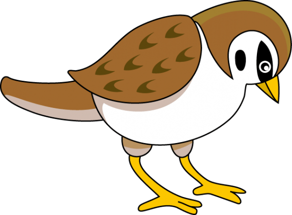 Sparrow Clipart at GetDrawings Free download