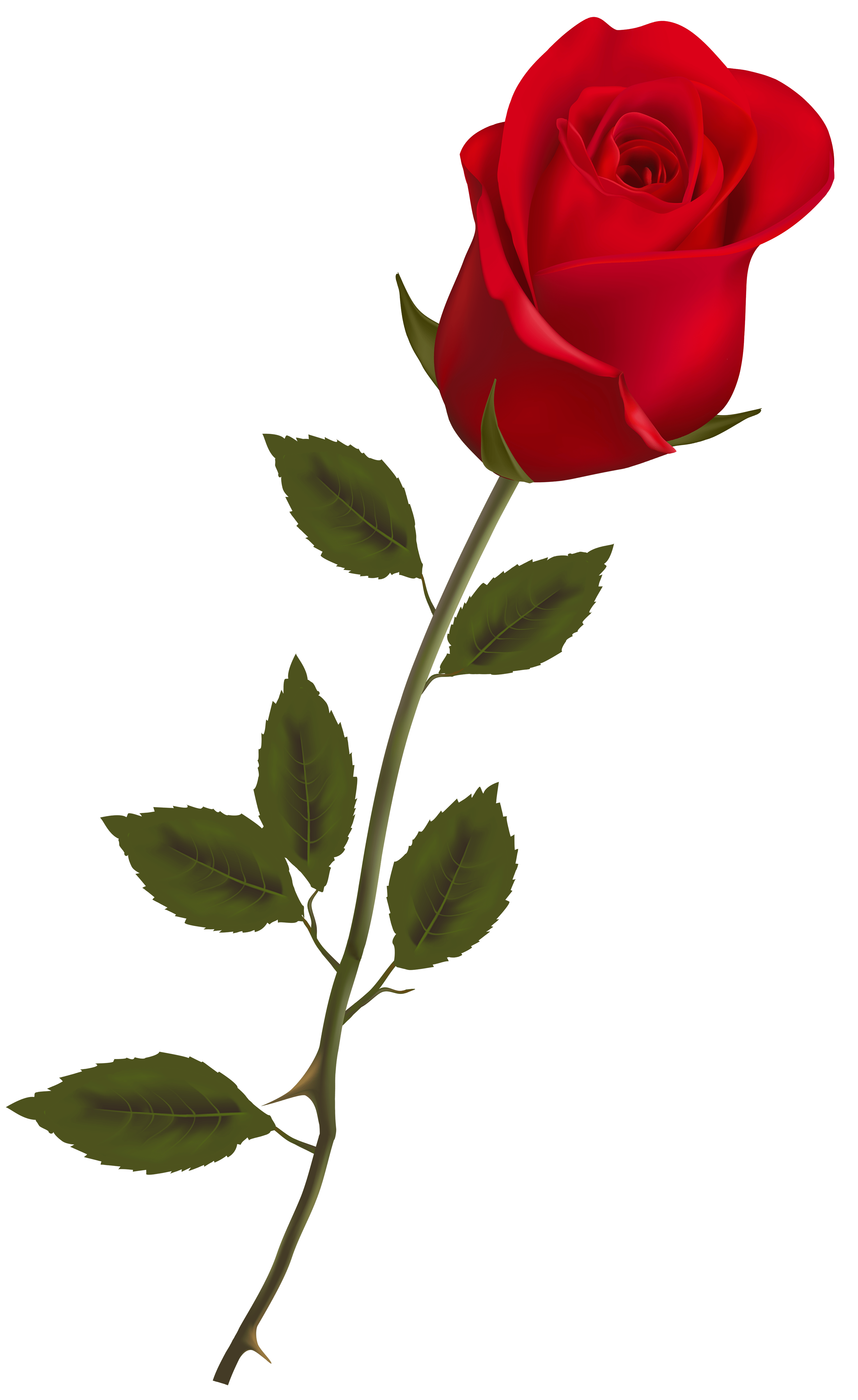 Stem Clipart at GetDrawings Free download