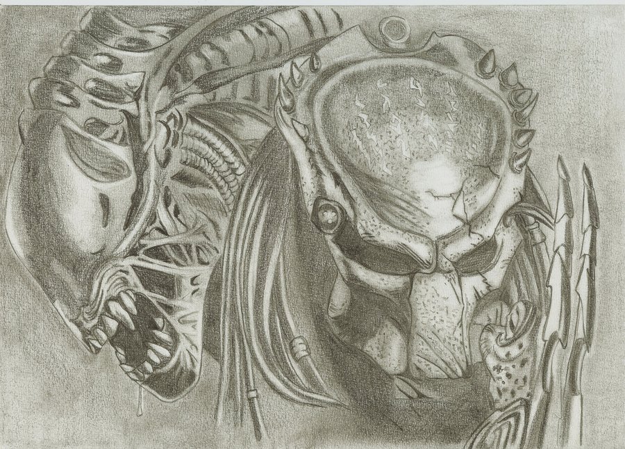 Alien Vs Predator Drawing at GetDrawings Free download